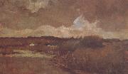 Vincent Van Gogh Marshy Landscape (nn04) oil painting on canvas